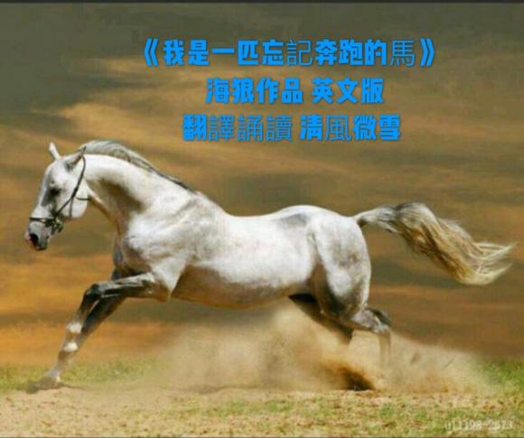 只狼怎么跑_天天酷跑冰原狼_天津跑狼电动车