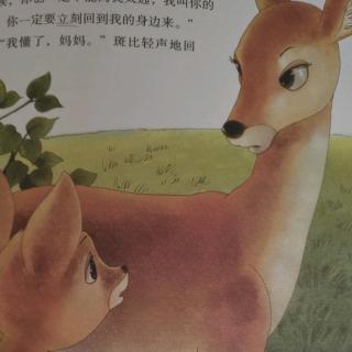 小鹿斑比