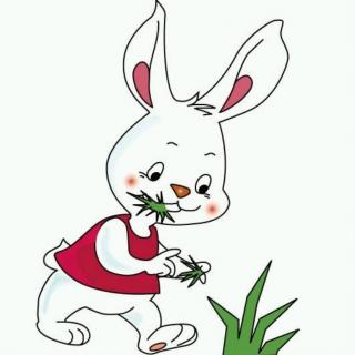 兔子历险记读后感悟 兔子脱险记道理