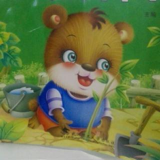 小熊种树