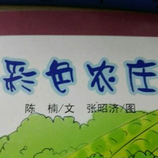 彩色农庄