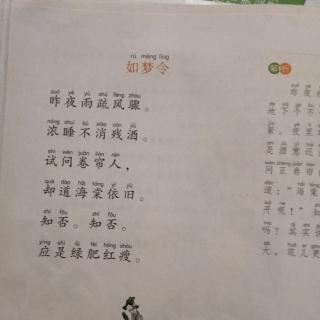 如梦令李清照