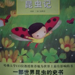 《昆虫记之不擅长游泳的水手——石蚕》