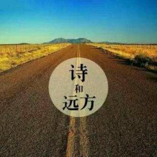 生活不止眼前的苟且,还有诗和远方的