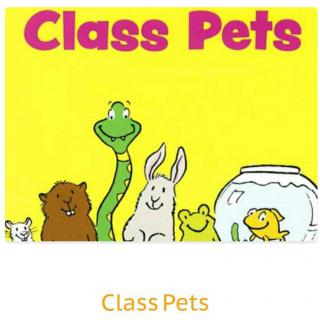 class pets