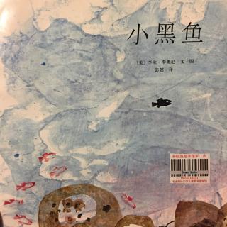 崔园长妈妈的绘本故事【207】——小黑鱼