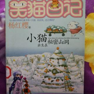 笑猫日记之小猫出生在秘密山洞里2--地下朋友