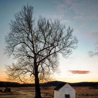 【20171207妈妈读学记本立而道生】在线收听