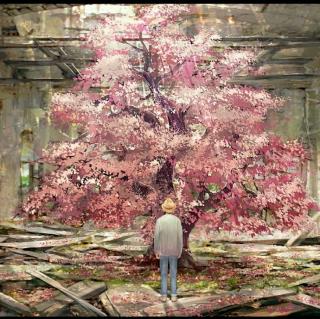 樱花樱花想见你