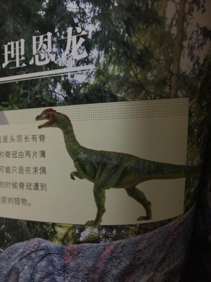 恐龙星球-理理恩龙
