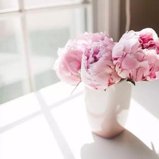 小考满分作文《进退得当才能取得成功》