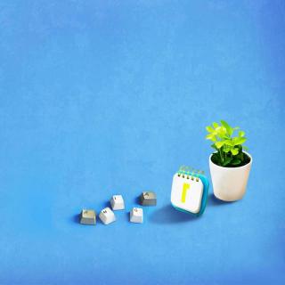 今日沪深两市股指集体小幅低开,整个早盘两市