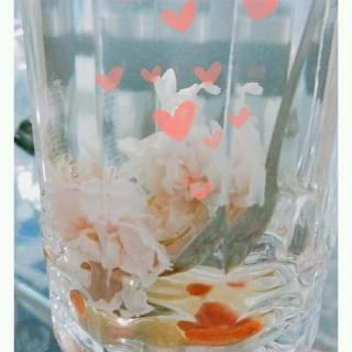 全宇宙最后一只猫1