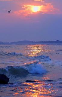 面朝大海 春暖花开——海子