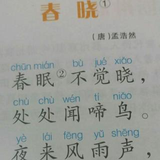 背诵古诗《春晓》