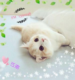 【送给我家大闺女颖儿】在线收听_感情可以重