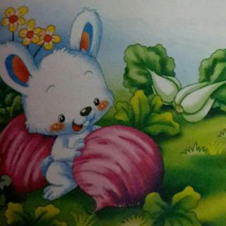 小白兔采蘑菇
