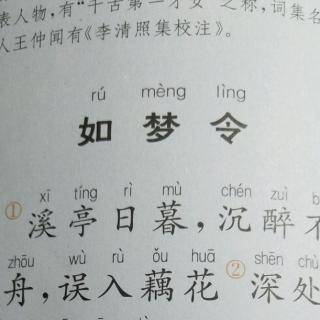 如梦令李清照