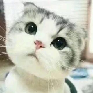 【听小姐姐pia戏】在线收听_大米_荔枝FM