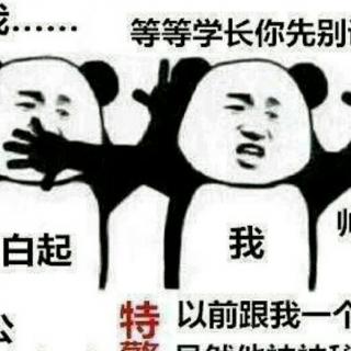 表白白起