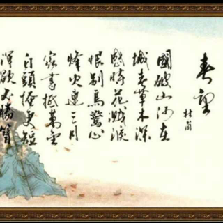 春望简谱_春望