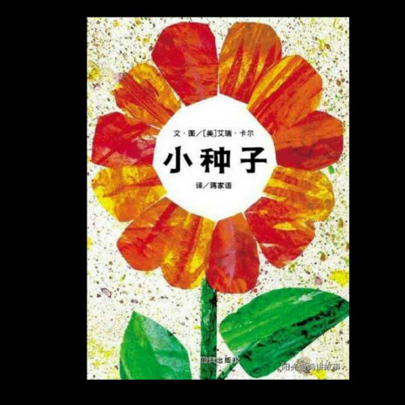 小种子