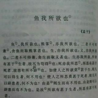 02 鱼我所欲也