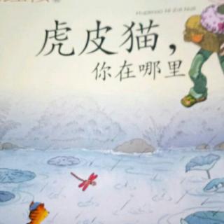笑猫日记虎皮猫你你在那里神秘的失踪又神秘的出现