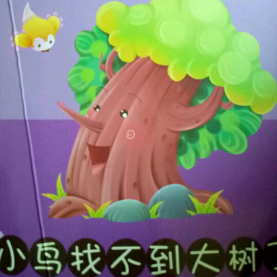 小鸟找不到大树