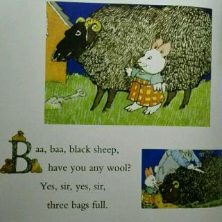 baa,baa,black sheep】在线收听_shirley9996的播客_荔枝