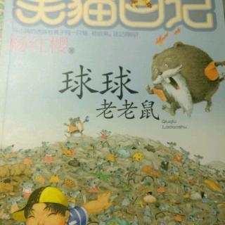 球球老老鼠第六天