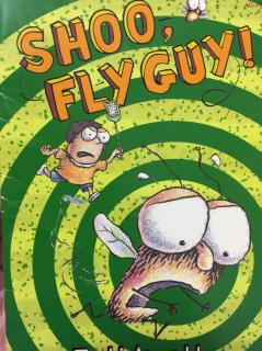 shooflyguy