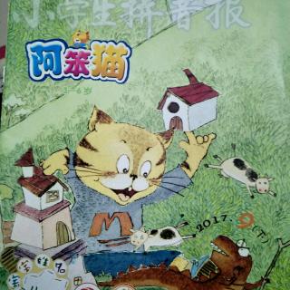 会变的阿笨猫