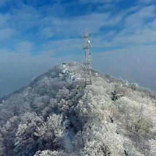 【眉间雪〔剧情版〕】在线收听_坚强的背后_