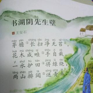 《书湖阴先生壁》