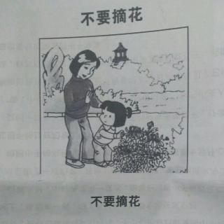 作文 不要摘花