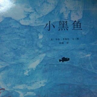 小黑鱼