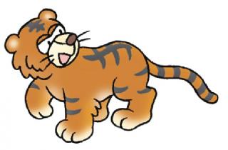 tiger