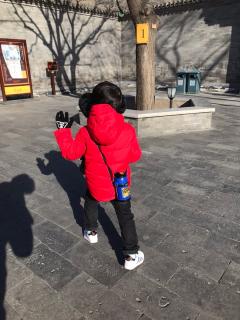 【汪汪队之歌】在线收听_小鱼儿讲故事_荔枝