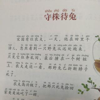 守株待兔