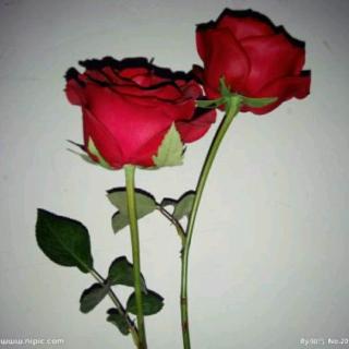 【20180122001818《千错万错爱你没有错》