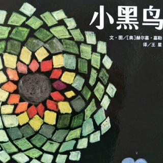 小黑鸟