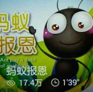 蚂蚁报恩