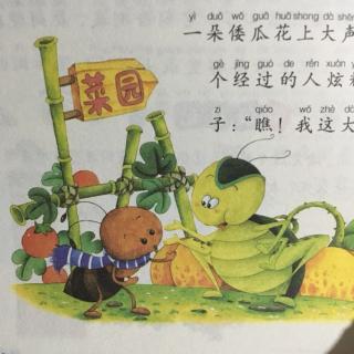 大肚子蝈蝈