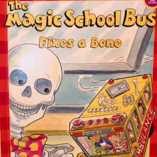 the magic school bus fixes a bone