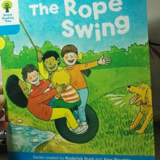 3-11 the rope swing