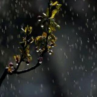 又是一个细雨纷飞的夜晚