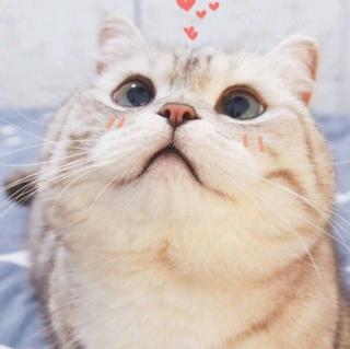 嘻嘻嘻