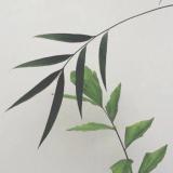 428 从此苏州更江南(文/沈十六)
