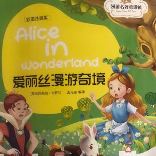 笑笑讲故事125《爱丽丝漫游奇境～掉进兔子洞》